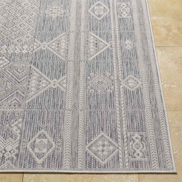 Ireton Outdoor Area Rug Carpet for Living Room Bedroom or Kitchen